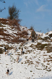 Lakeland Fell Hunting images by Betty Fold Gallery